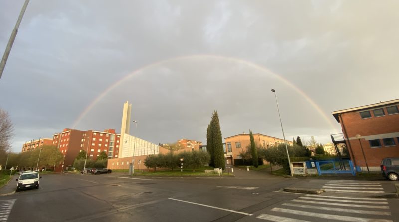 Vingone Arcobaleno